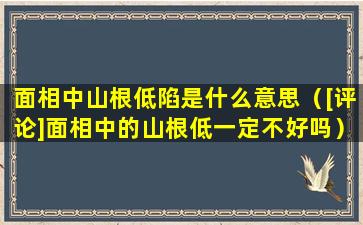 面相中山根低陷是什么意思（[评论]面相中的山根低一定不好吗）